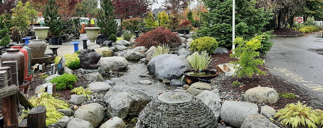 Welcome to White Rock Garden Club